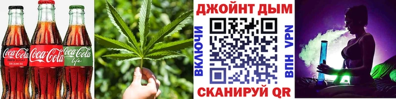 Cannafood конопля  купить наркотик  МЕГА ТОР  Новотроицк 