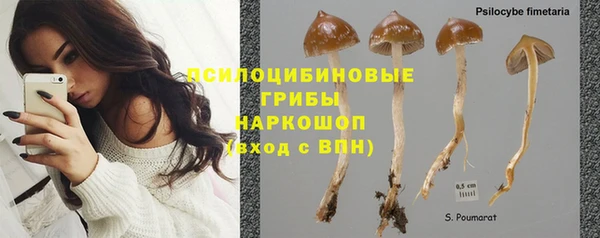 ALPHA PVP Новозыбков
