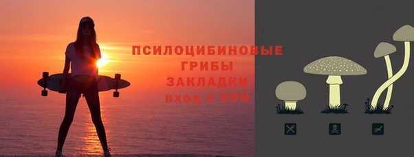 ALPHA PVP Новозыбков
