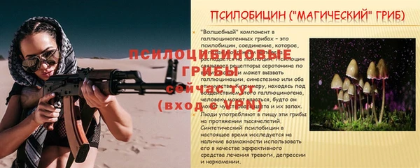 ALPHA PVP Новозыбков