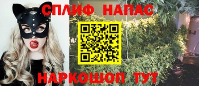 соль ск Будённовск