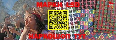 соль ск Будённовск