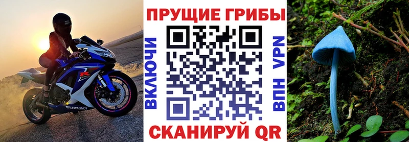 Псилоцибиновые грибы Magic Shrooms  наркошоп  блэк спрут ТОР  Новотроицк 