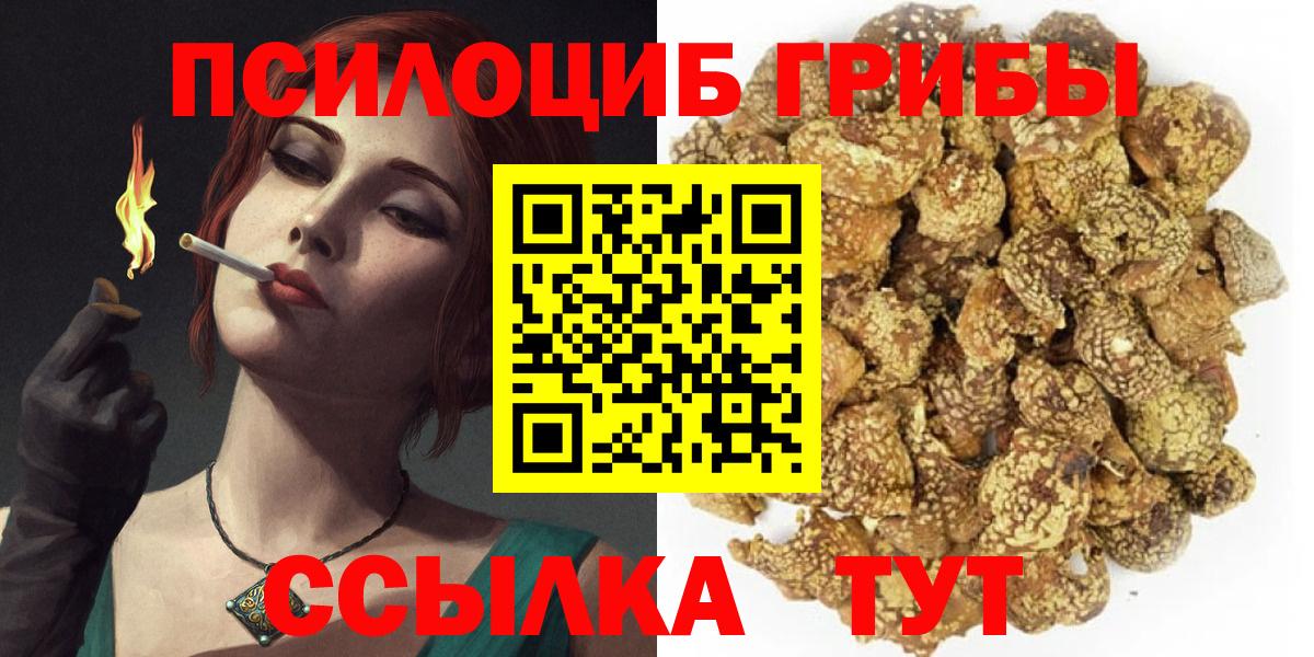 Галлюциногенные грибы GOLDEN TEACHER  Псилоцибиновые грибы Magic Shrooms  Вход с VPN  Новотроицк 