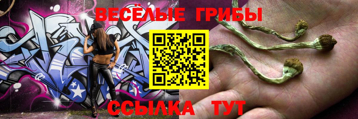 Псилоцибиновые грибы Psilocybine cubensis Новотроицк