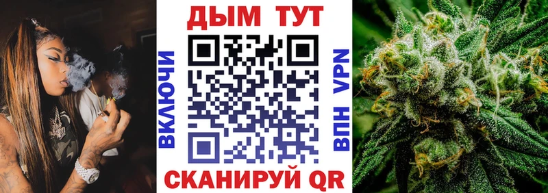 МАРИХУАНА семена  Новотроицк 
