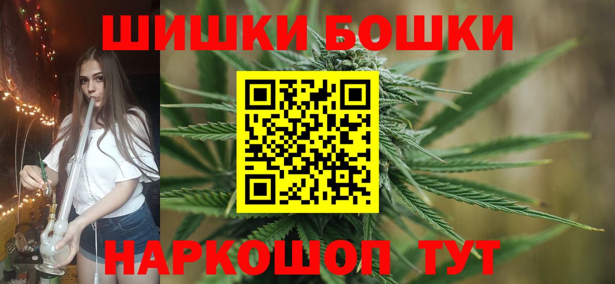 Каннабис сатива Новотроицк